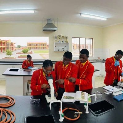 gdsb t (2)